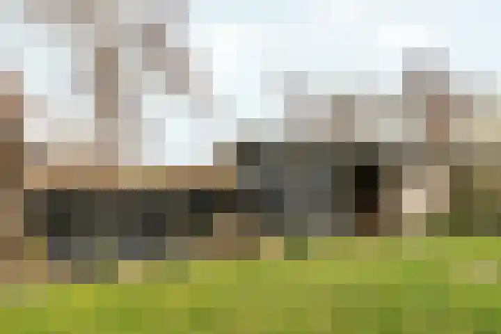 Wolsmastate 19 Ouwsterhaule thumbnail 36