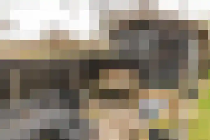 Wolsmastate 19 Ouwsterhaule thumbnail 37