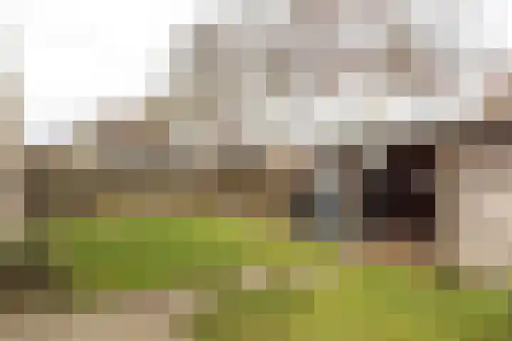 Wolsmastate 19 Ouwsterhaule thumbnail 38
