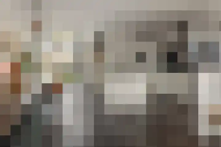 Wolsmastate 19 Ouwsterhaule thumbnail 4