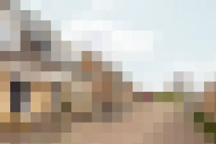 Wolsmastate 19 Ouwsterhaule thumbnail 6