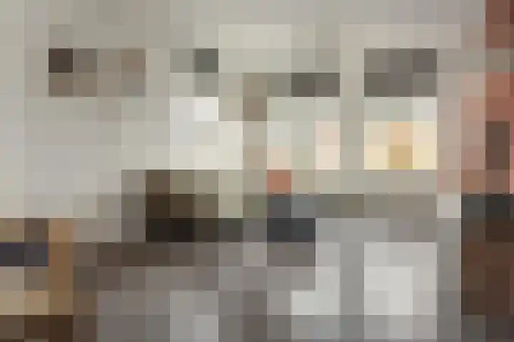 Wolsmastate 19 Ouwsterhaule thumbnail 7