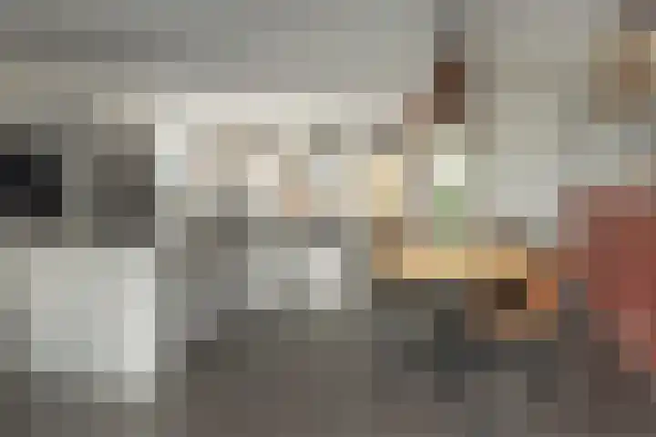 Wolsmastate 19 Ouwsterhaule thumbnail 8