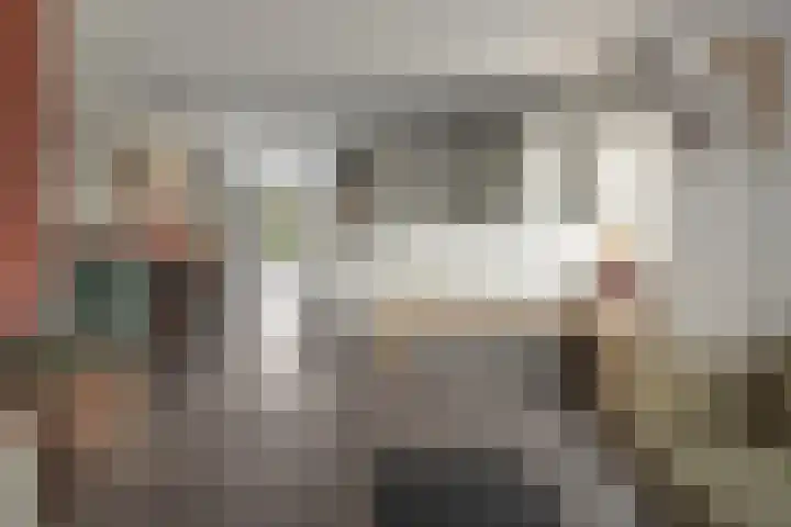 Wolsmastate 19 Ouwsterhaule thumbnail 9