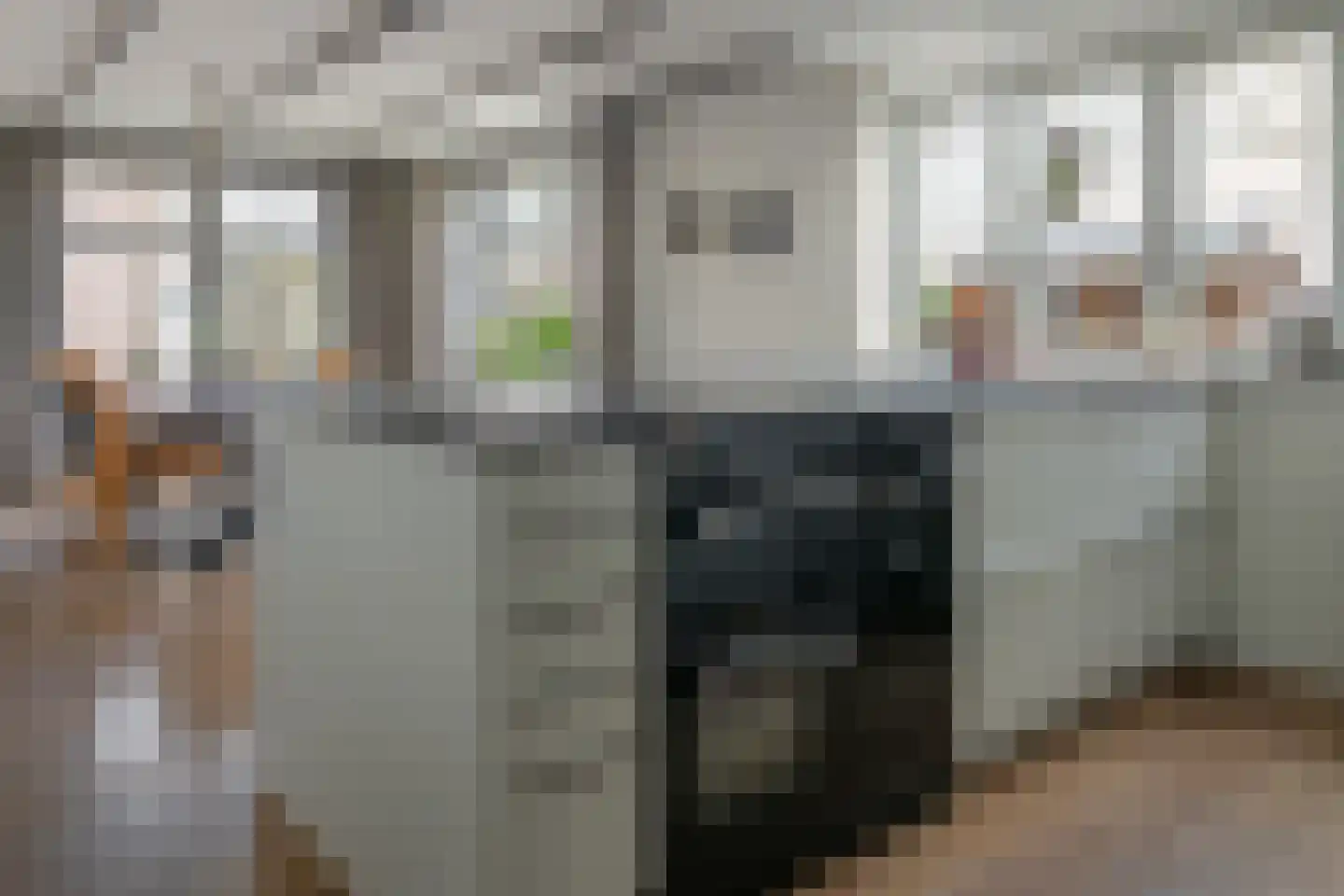 Wolsmastate 7 Ouwsterhaule thumbnail 10