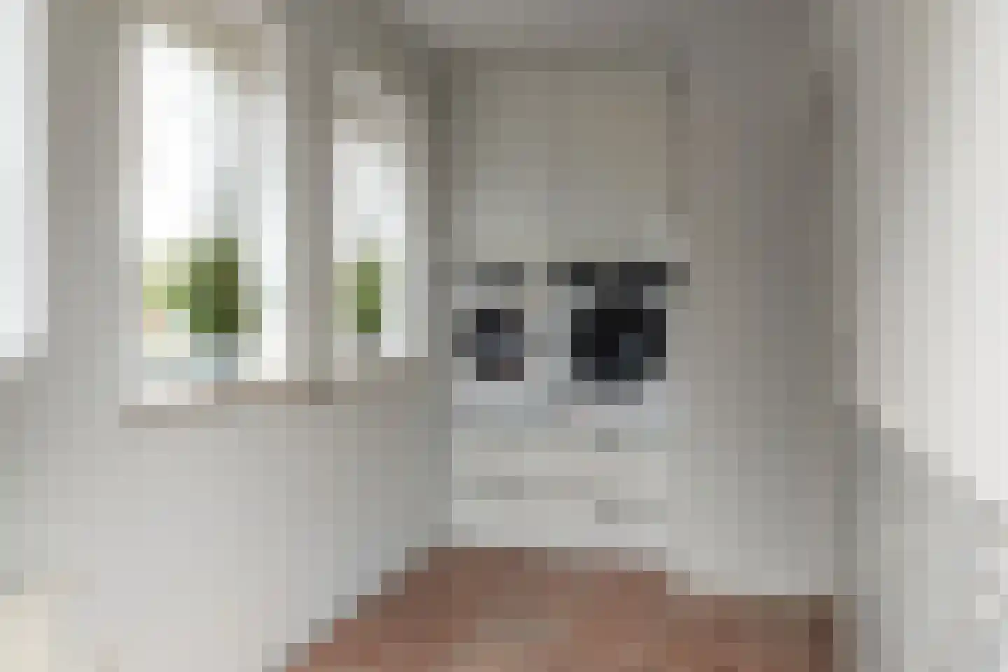 Wolsmastate 7 Ouwsterhaule thumbnail 11