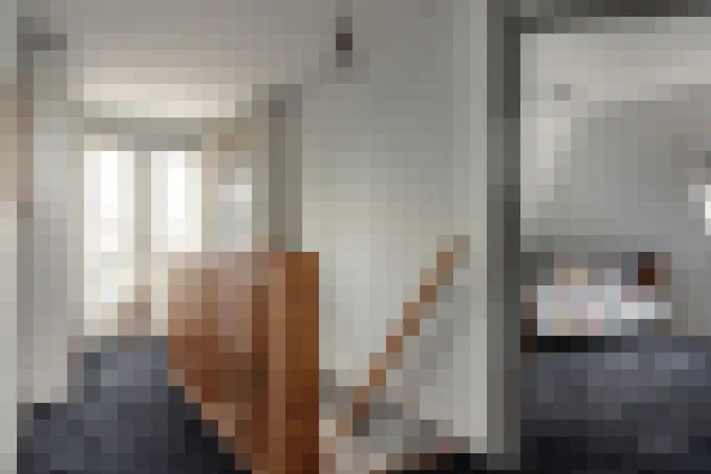 Wolsmastate 7 Ouwsterhaule thumbnail 16