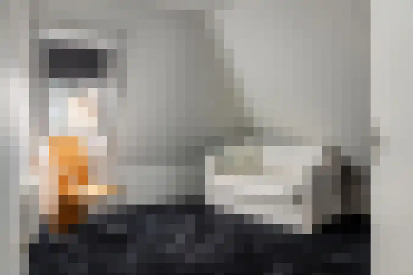 Wolsmastate 7 Ouwsterhaule thumbnail 18