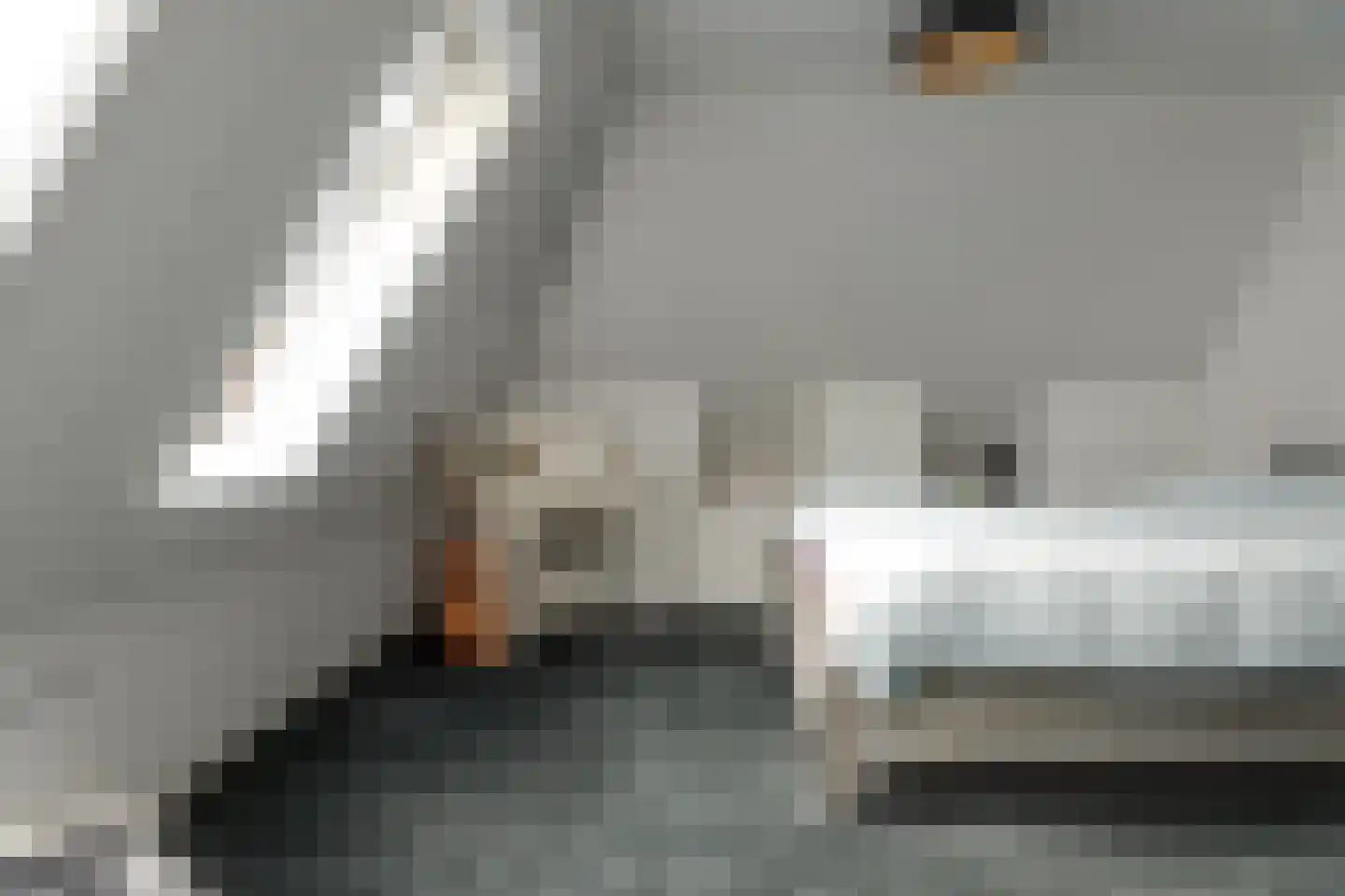 Wolsmastate 7 Ouwsterhaule thumbnail 23