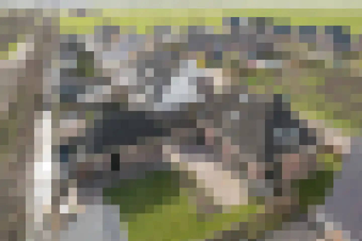 Wolsmastate 7 Ouwsterhaule thumbnail 26