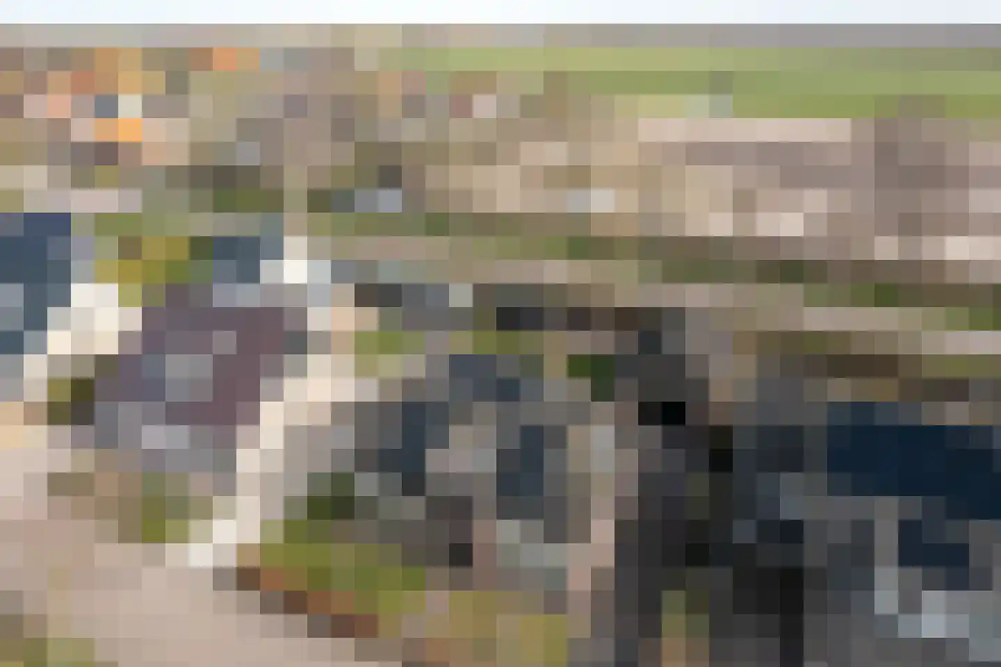 Wolsmastate 7 Ouwsterhaule thumbnail 27