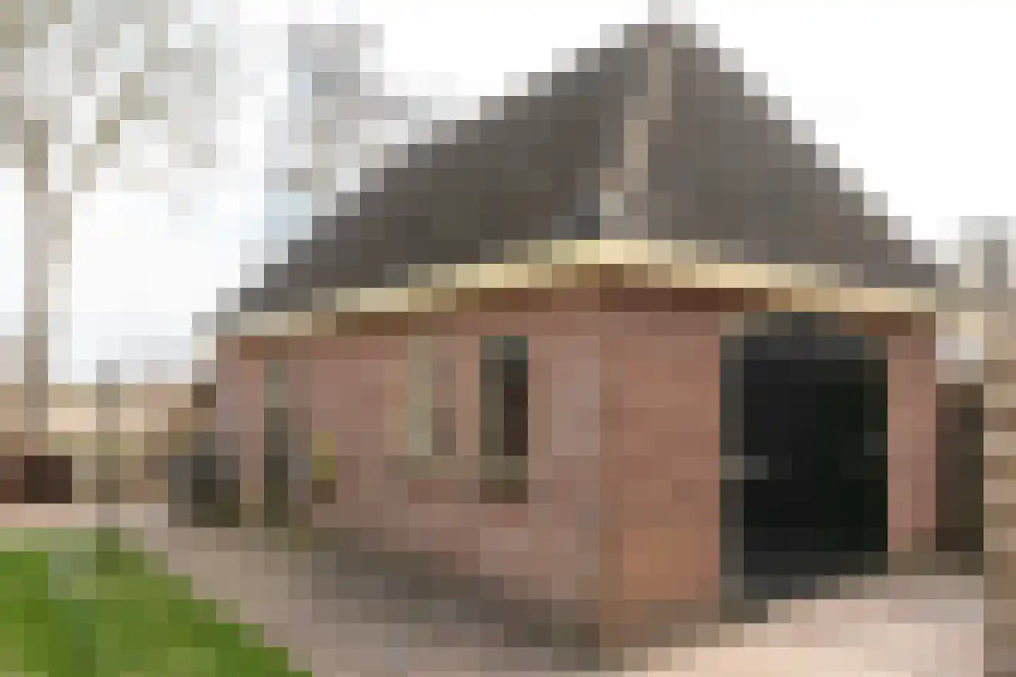 Wolsmastate 7 Ouwsterhaule thumbnail 31