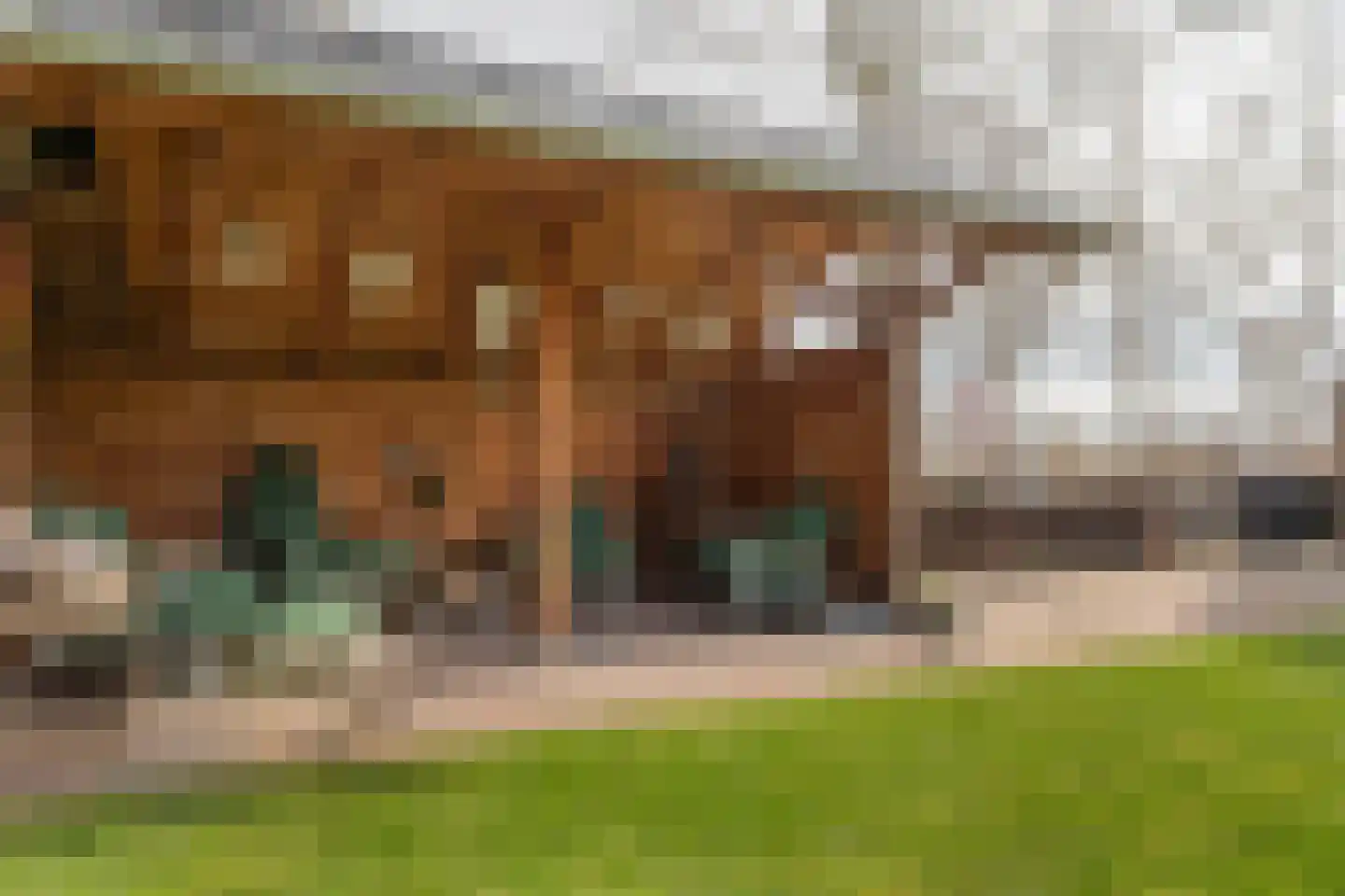 Wolsmastate 7 Ouwsterhaule thumbnail 34