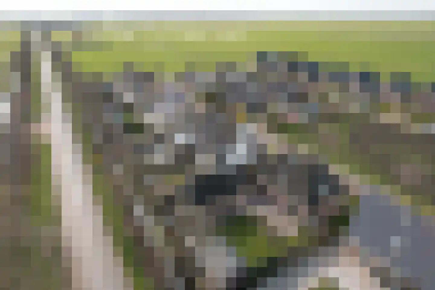 Wolsmastate 7 Ouwsterhaule thumbnail 36