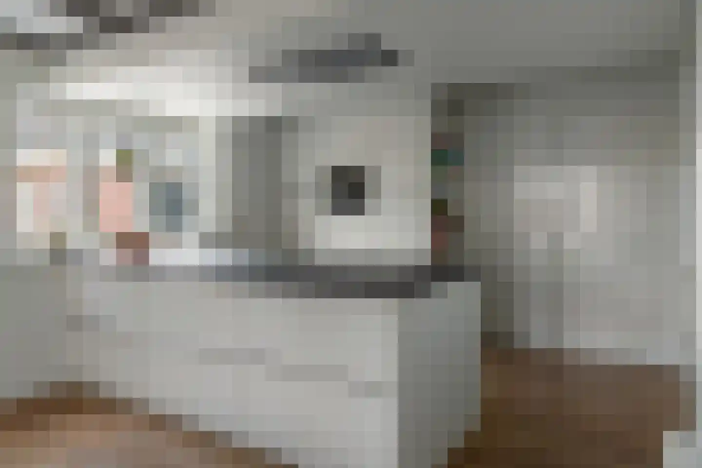 Wolsmastate 7 Ouwsterhaule thumbnail 4