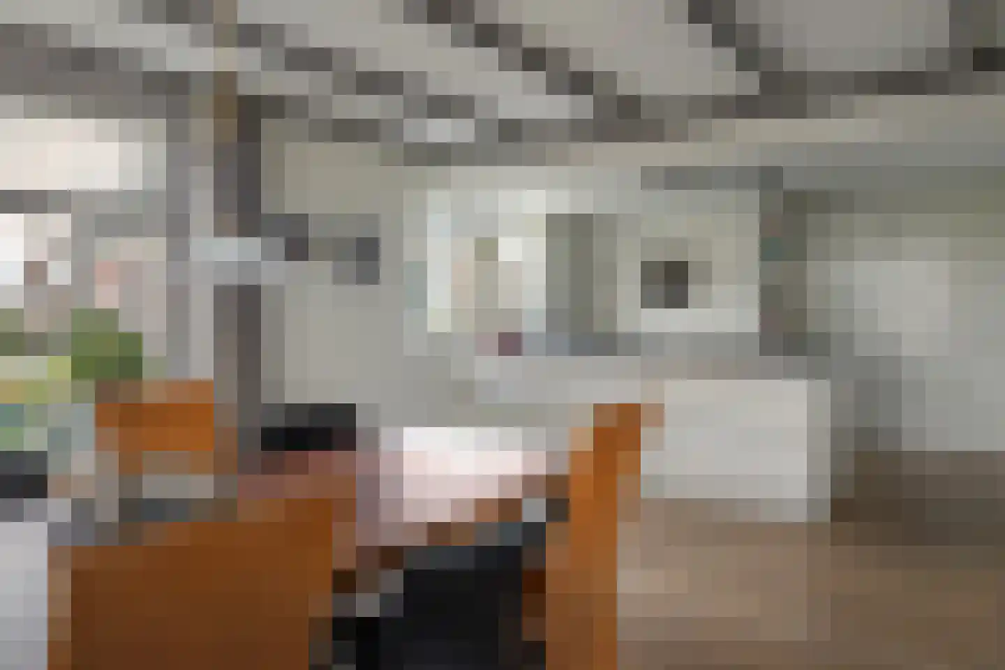 Wolsmastate 7 Ouwsterhaule thumbnail 8