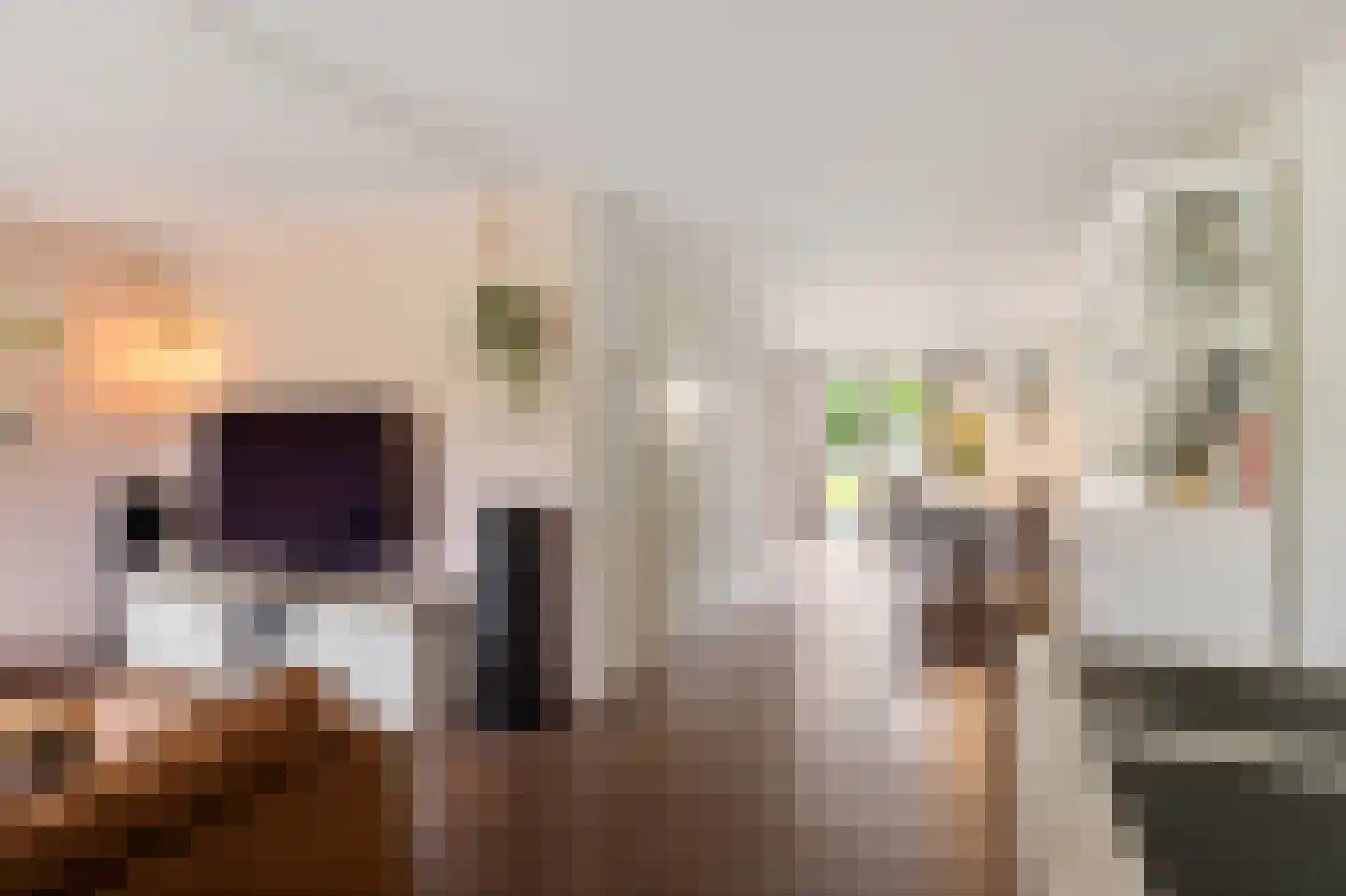 Wolsmastate 9 Ouwsterhaule thumbnail 10