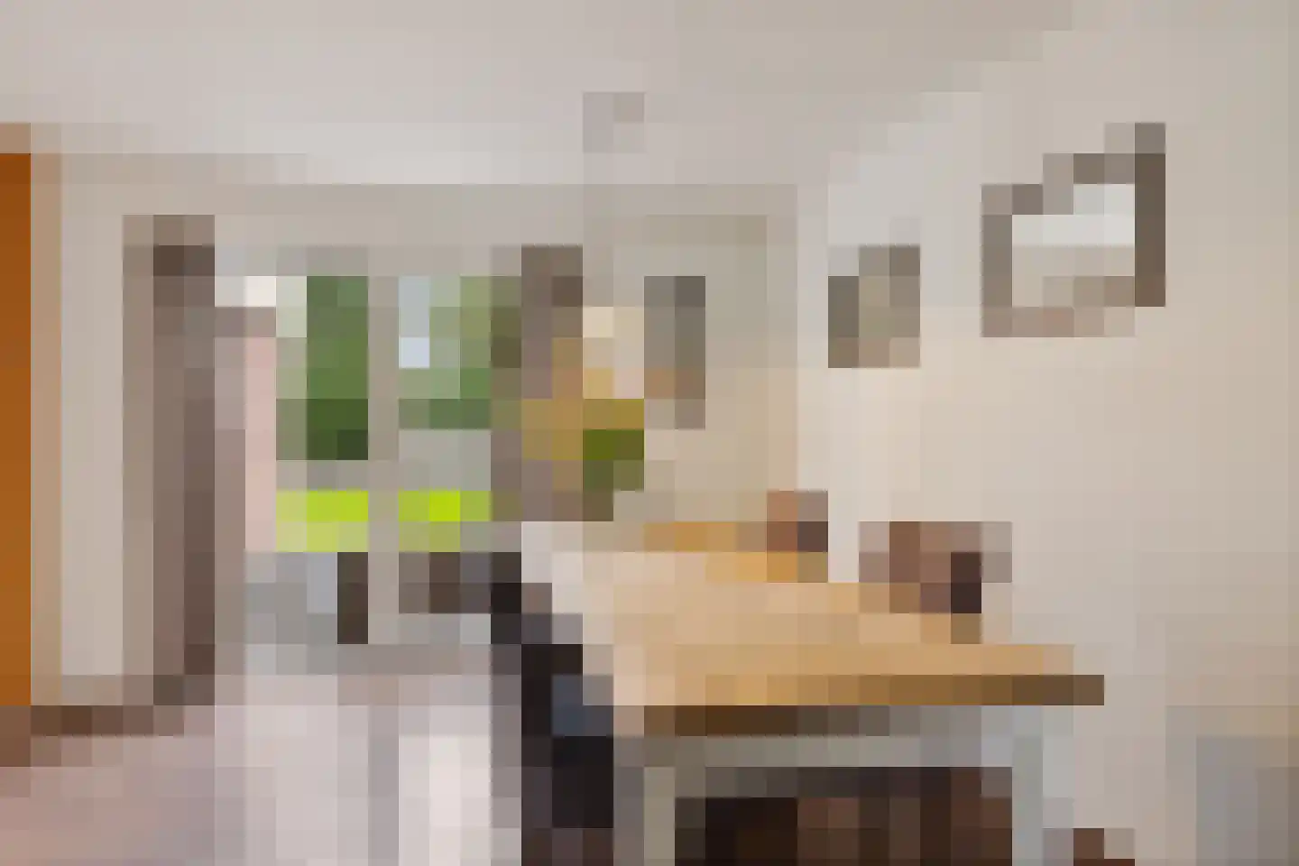 Wolsmastate 9 Ouwsterhaule thumbnail 16