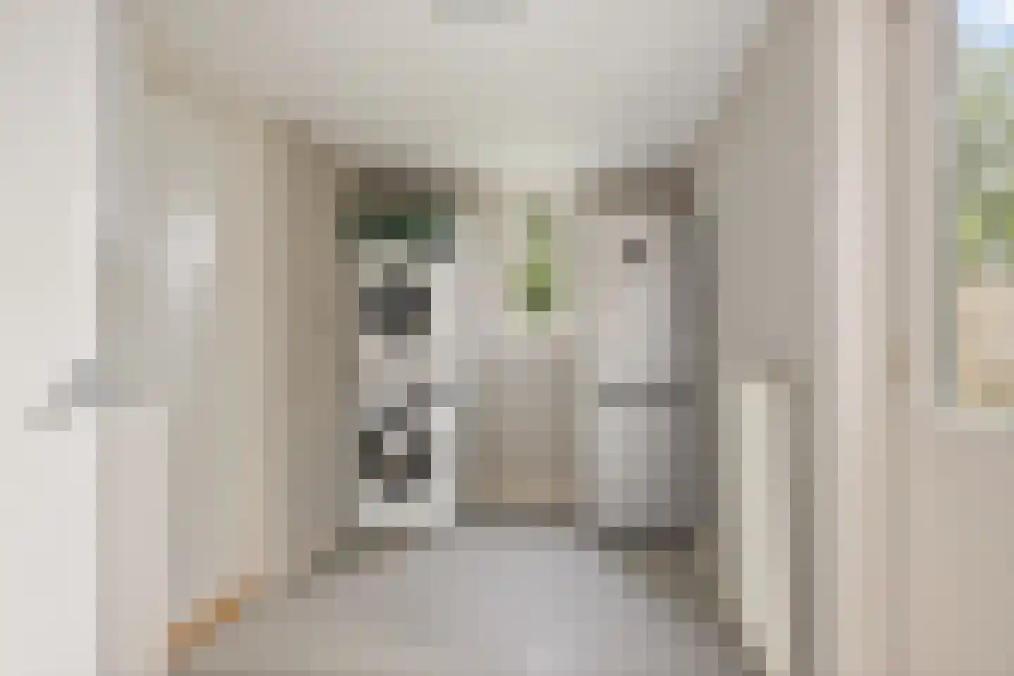 Wolsmastate 9 Ouwsterhaule thumbnail 19