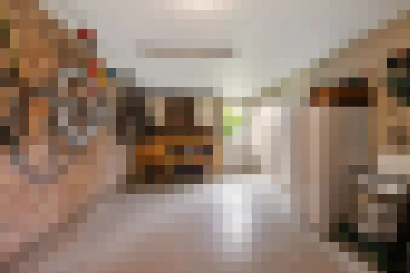 Wolsmastate 9 Ouwsterhaule thumbnail 20