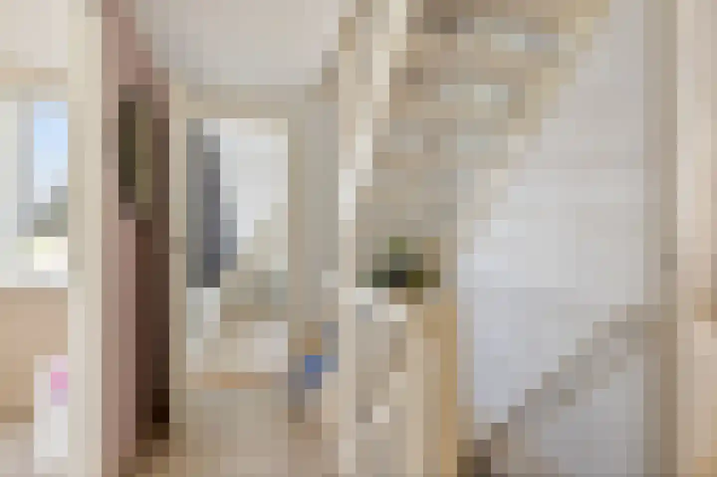 Wolsmastate 9 Ouwsterhaule thumbnail 22