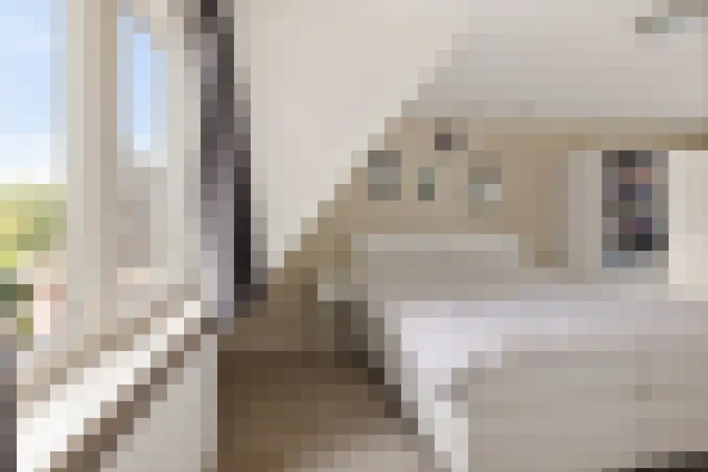 Wolsmastate 9 Ouwsterhaule thumbnail 23