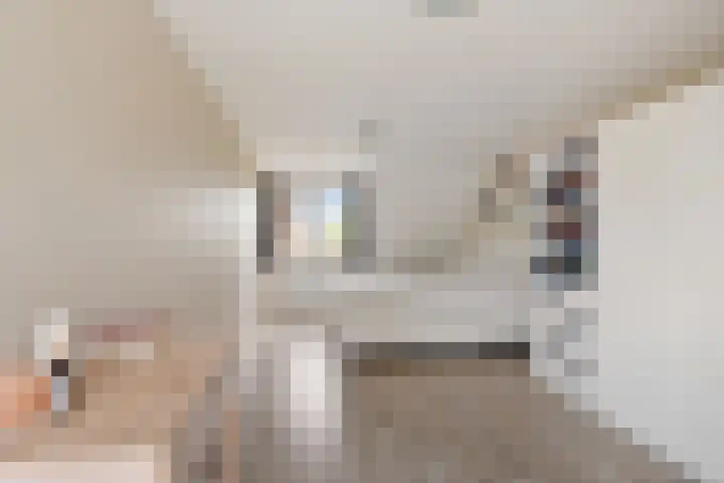 Wolsmastate 9 Ouwsterhaule thumbnail 24