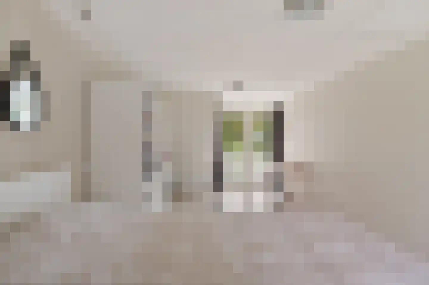 Wolsmastate 9 Ouwsterhaule thumbnail 25