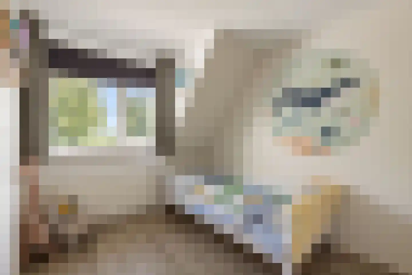Wolsmastate 9 Ouwsterhaule thumbnail 30