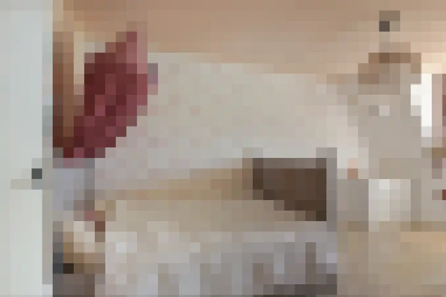 Wolsmastate 9 Ouwsterhaule thumbnail 32