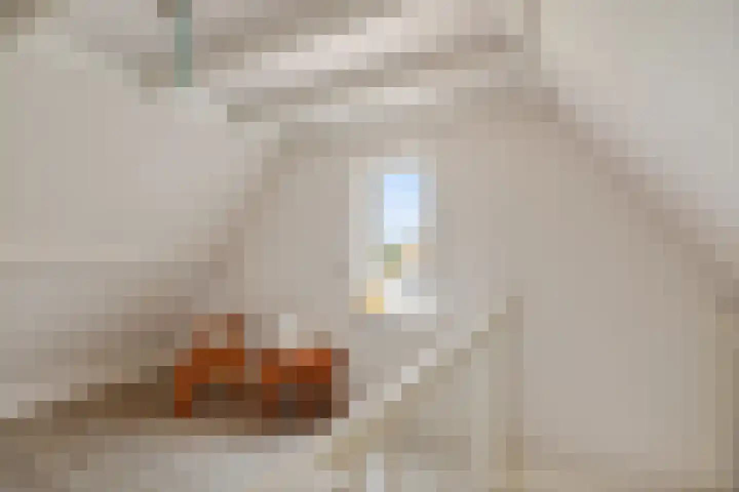 Wolsmastate 9 Ouwsterhaule thumbnail 36