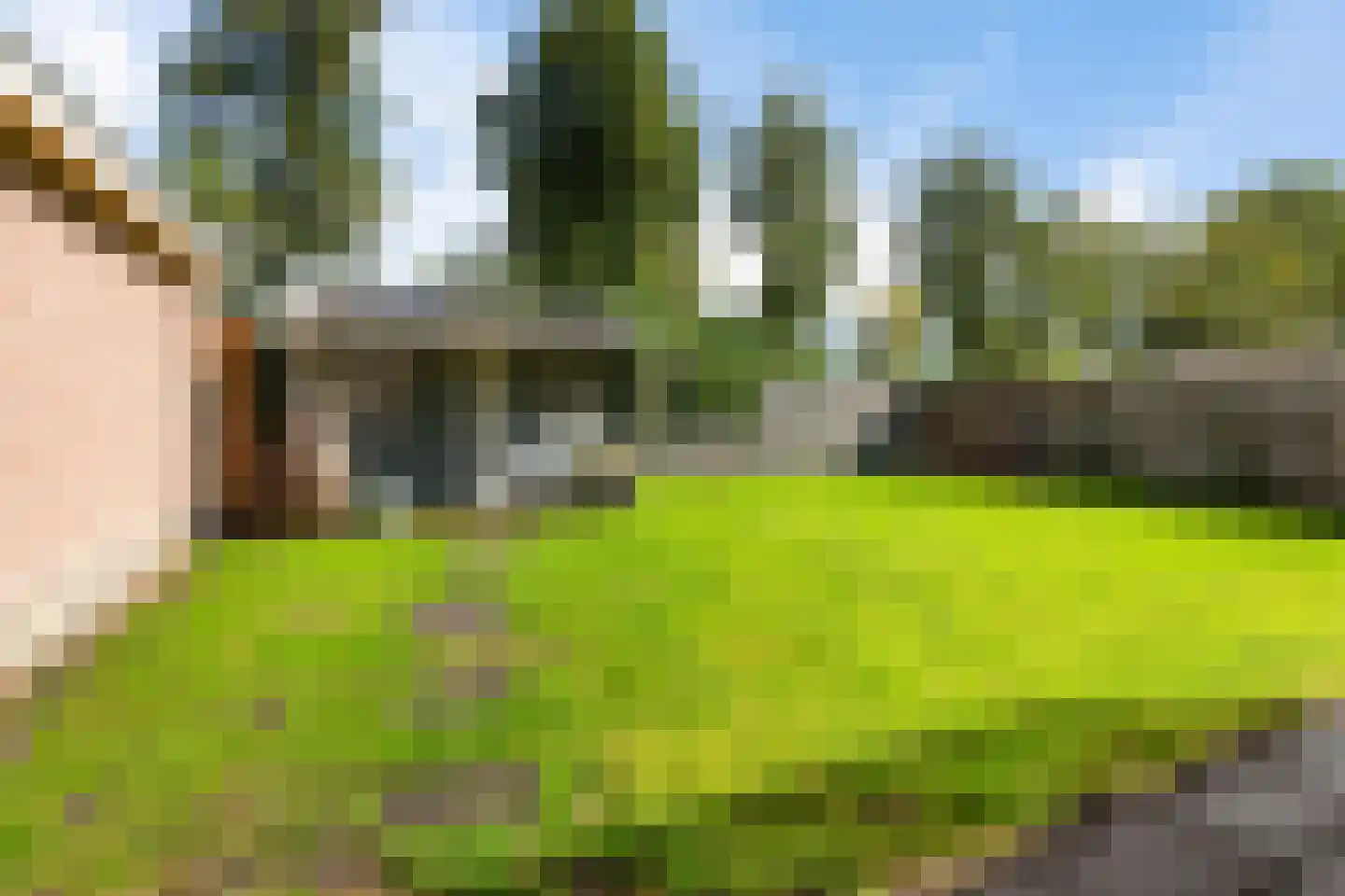 Wolsmastate 9 Ouwsterhaule thumbnail 42