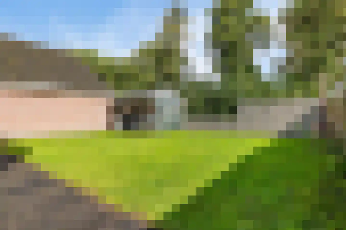 Wolsmastate 9 Ouwsterhaule thumbnail 43
