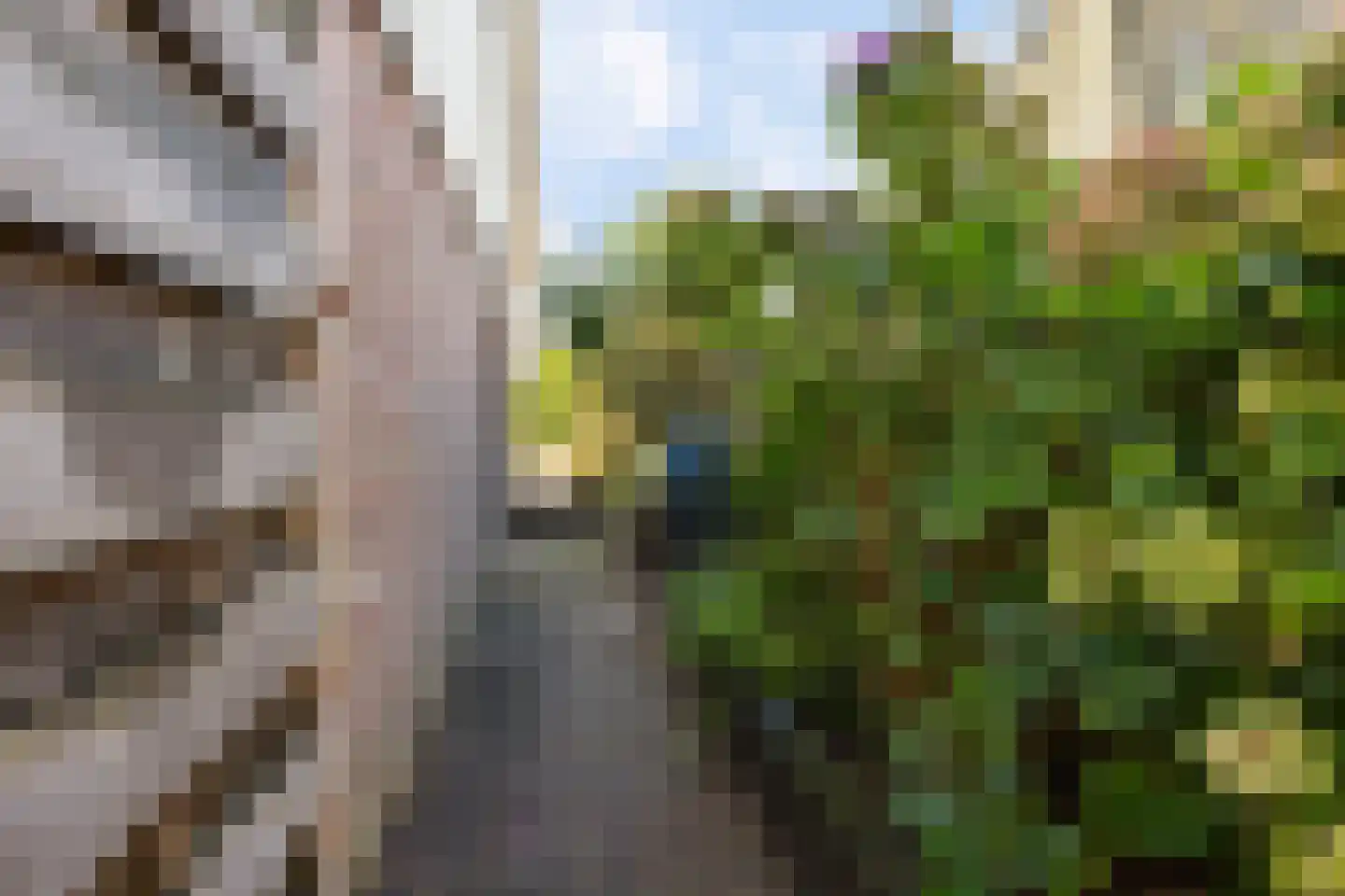 Wolsmastate 9 Ouwsterhaule thumbnail 44