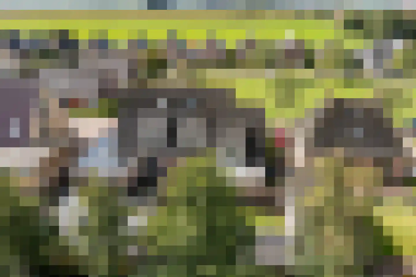 Wolsmastate 9 Ouwsterhaule thumbnail 46