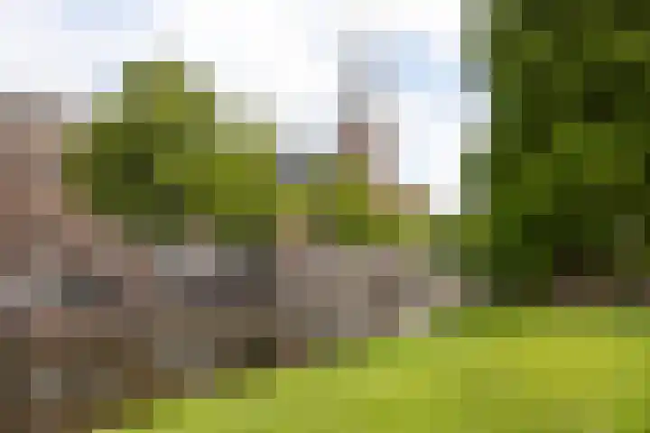 Wolsteeg 6 Leiden thumbnail 28