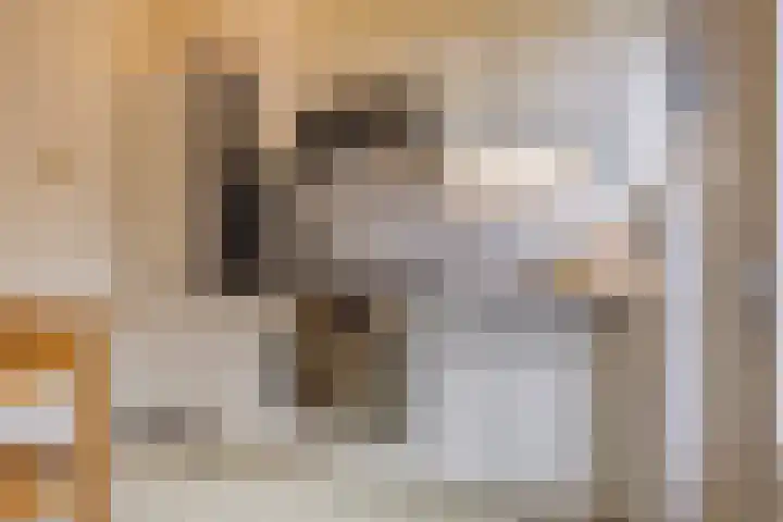 Wolstraat 25 Geldrop thumbnail 10
