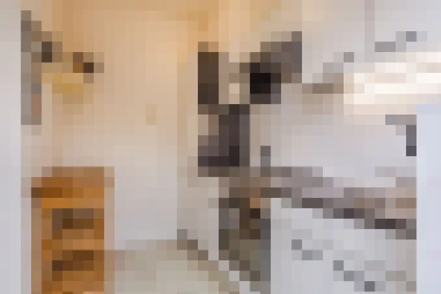 Wolstraat 25 Geldrop thumbnail 11