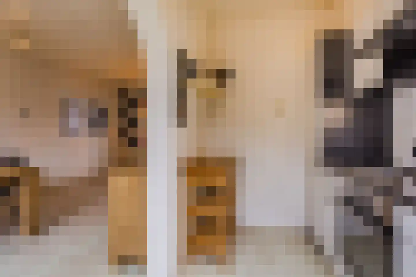 Wolstraat 25 Geldrop thumbnail 12