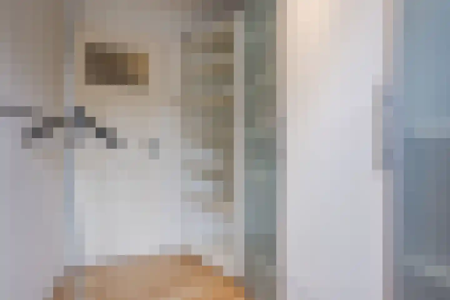 Wolstraat 25 Geldrop thumbnail 20