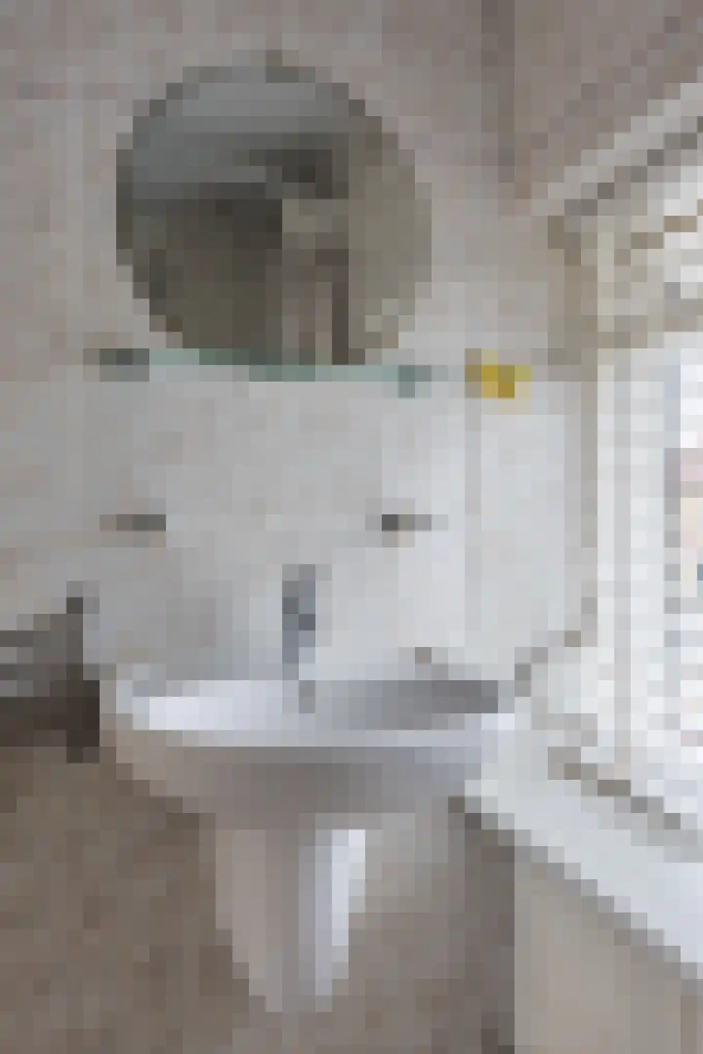 Wolstraat 25 Geldrop thumbnail 22