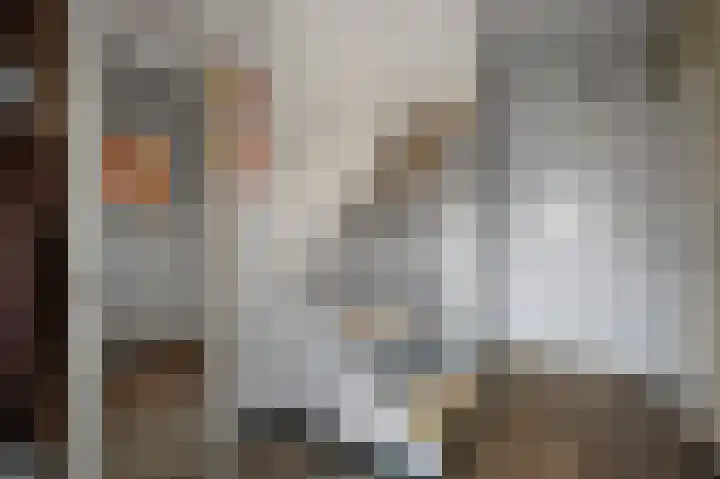 Wolstraat 25 Geldrop thumbnail 26