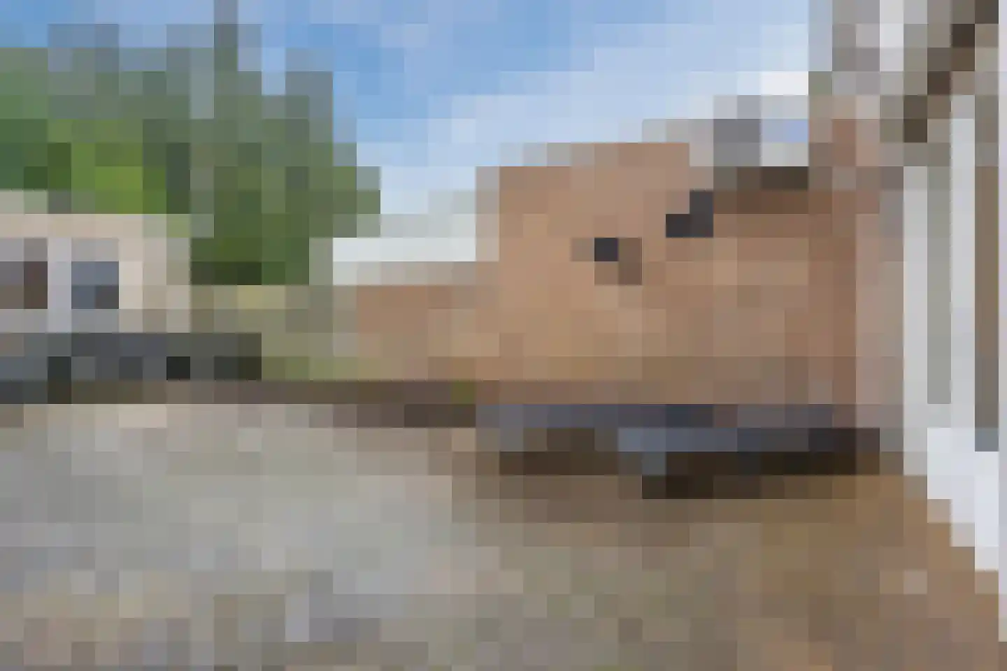Wolstraat 25 Geldrop thumbnail 28