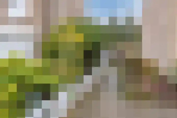 Wolstraat 25 Geldrop thumbnail 34