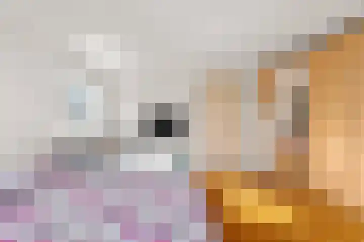 Wolstraat 25 Geldrop thumbnail 38