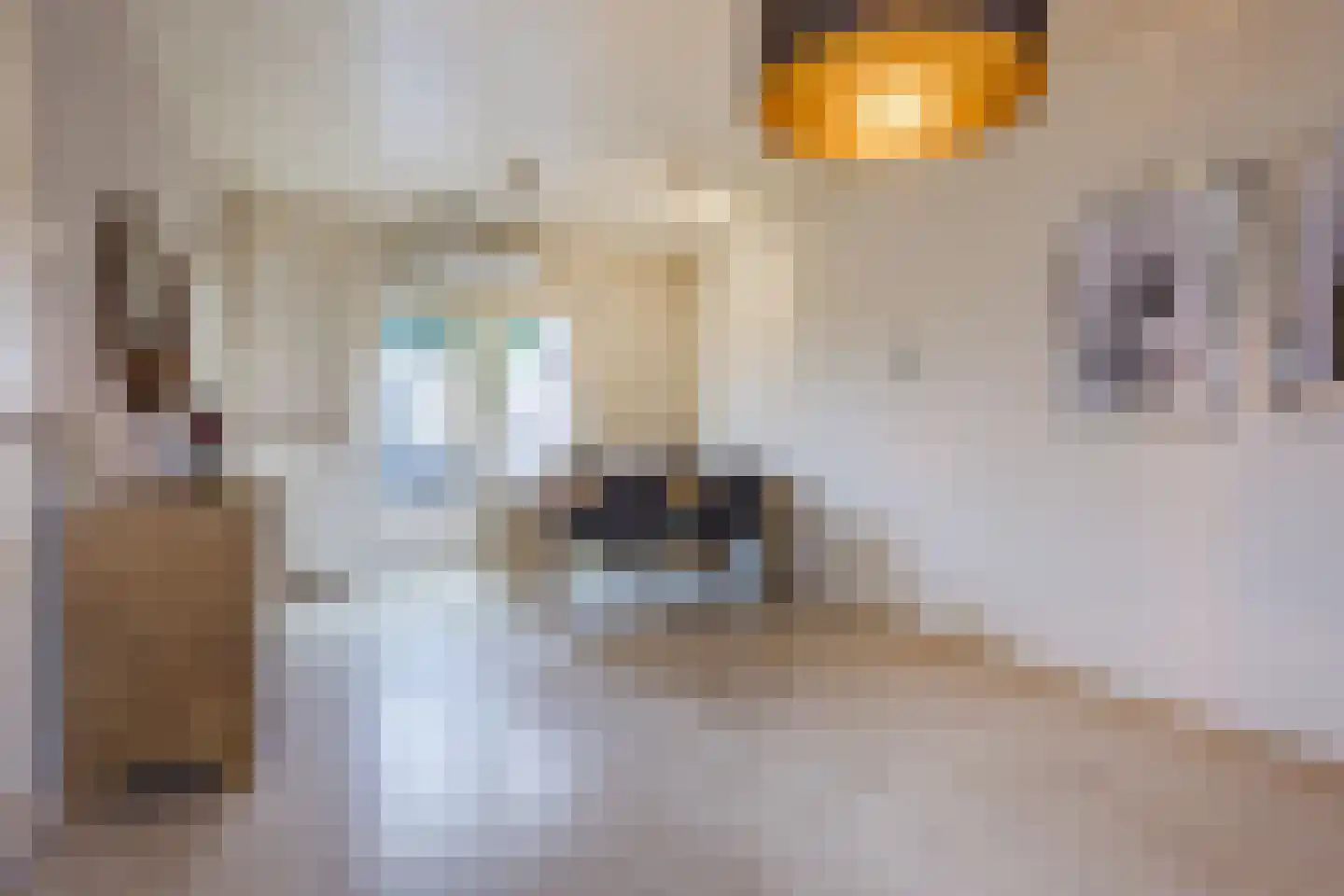 Wolstraat 25 Geldrop thumbnail 8