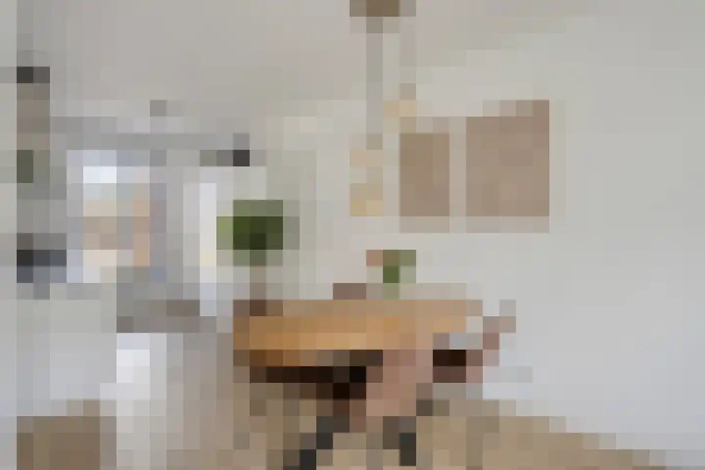 Wolstraat 25 Geldrop thumbnail 8