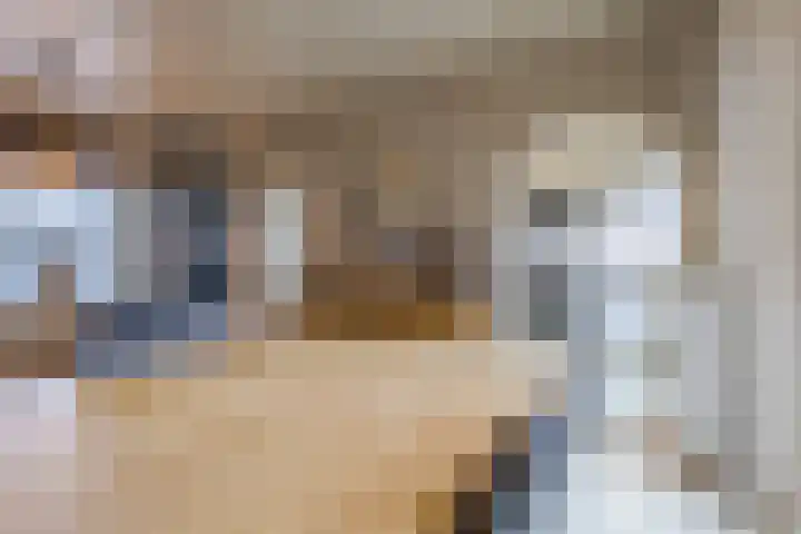 Wolstraat 25 Geldrop thumbnail 9