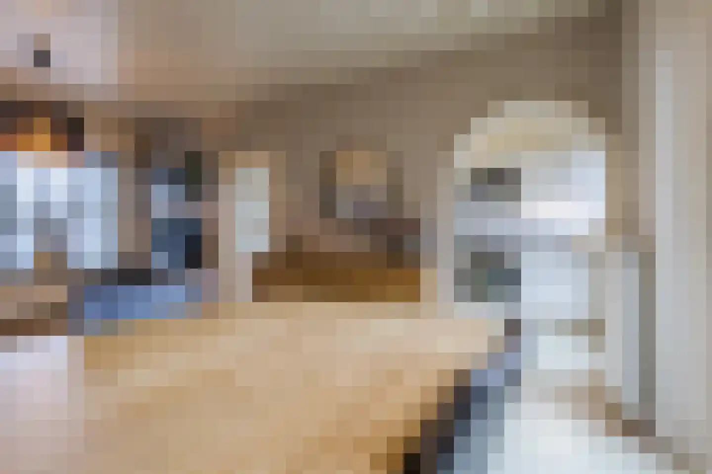 Wolstraat 25 Geldrop thumbnail 9