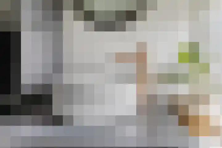 Wolstraat 5 Geldrop thumbnail 26